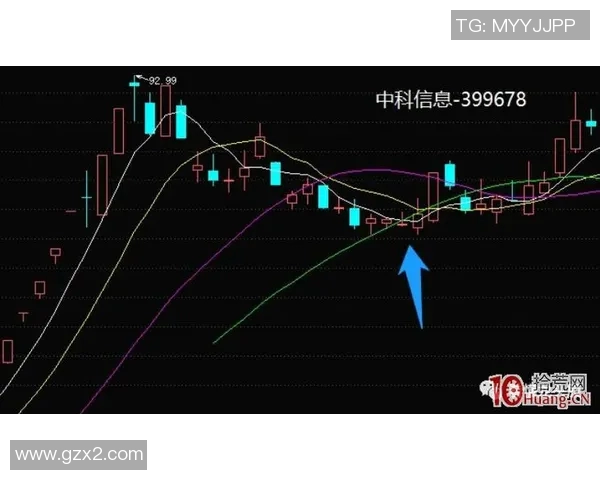 上海篮球队灵活性分析与战术创新的深度探讨