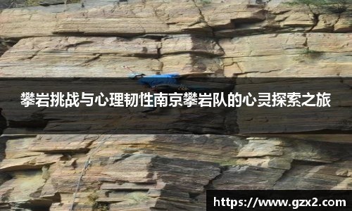德赢VWIN